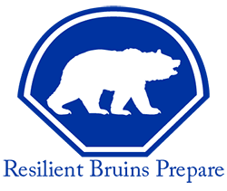 Resilient Bruins Prepare with OEM Patch